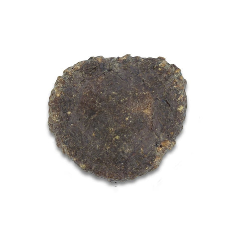 Paws & Co Beef Liver Dipped Elk Antler Buttons for Large X-Large Dogs 3.5"-4" - Poudre Pet and Feed Supply